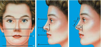 کاندیدای مناسب انجام عمل جراحی Tip Plasty